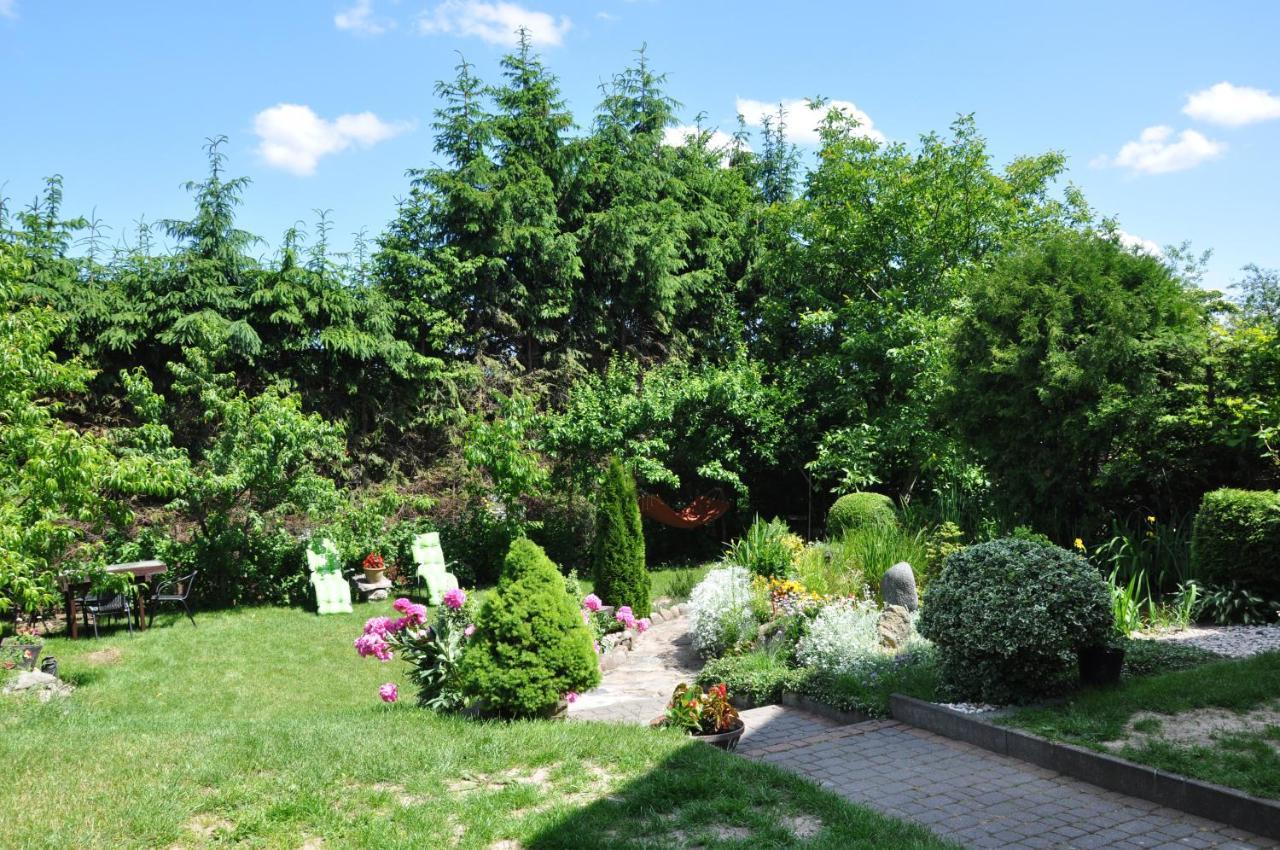 Apartament Oaza U Tadeusza Augustów Zewnętrze zdjęcie
